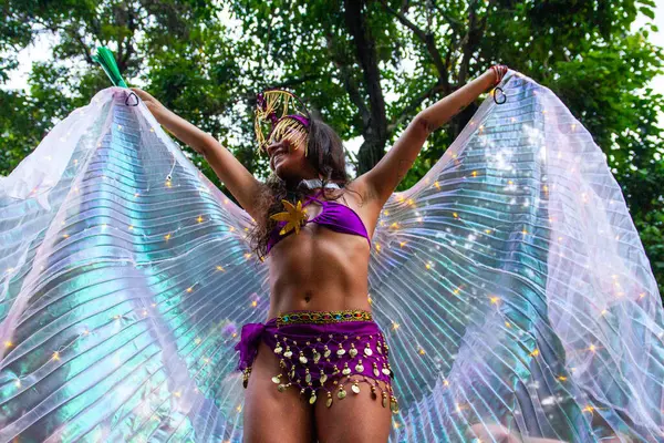 Río Janeiro Valores Democráticos Fiesta Debió Las Marchas Carnaval Buen —  Fotos de Stock