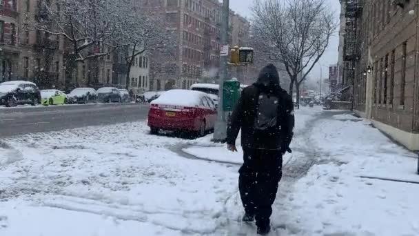 Сильный Снег Обрушился Нью Йорк Северо Восток Привело Опасностям Путешествиях — стоковое видео