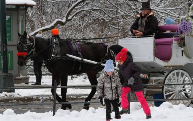 New York 'taki Central Park' a kar yağışı. 17 Şubat 2024, New York, ABD: New York City Cuma (16) gecesinden 17 (Cumartesi) ve özellikle New Yorklular, turistler ve çocukların oynadığı Central Park 'a kadar başka bir karla vuruldu 