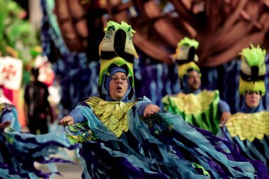 SAO PAULO (SP), Brezilya 17 / 02 / 2024 Sao Paulo Samba Okulu, bu Cumartesi gecesi, 17. 