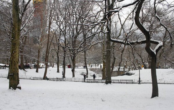 Snow fall at Central Park in New York. February 17, 2024, New York, USA: New York City was hit with another snow from Friday (16) night till Saturday (17) and especially at Central Park where New Yorkers and tourists and kids are seen playing