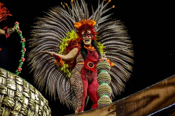 SAO PAULO (SP), Brezilya 17 / 02 / 2024 Sao Paulo Samba Okulu, bu Cumartesi gecesi, 17. 