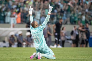 Barueri (SP), Brezilya 02 / 18 / 2024 - maç PAULISTAO-PALMEIRAS maçı, 18 Şubat 2024.