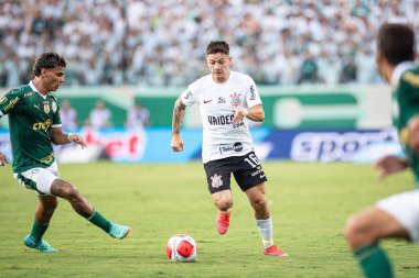 Barueri (SP), Brezilya 02 / 18 / 2024 - maç PAULISTAO-PALMEIRAS maçı, 18 Şubat 2024.