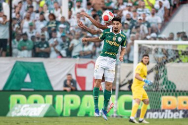 Barueri (SP), Brezilya 02 / 18 / 2024 - maç PAULISTAO-PALMEIRAS maçı, 18 Şubat 2024.