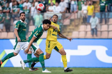 Barueri (SP), Brezilya 02 / 24 / 2024 - PAULISTAO vs PALMEIRAS Bu Cumartesi akşamı, 24 Şubat 2024.