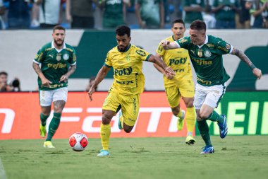 Barueri (SP), Brezilya 02 / 24 / 2024 - PAULISTAO vs PALMEIRAS Bu Cumartesi akşamı, 24 Şubat 2024.