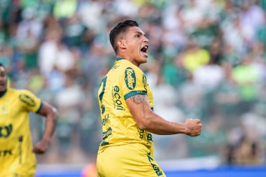 Barueri (SP), Brezilya 02 / 24 / 2024 - PAULISTAO vs PALMEIRAS Bu Cumartesi akşamı, 24 Şubat 2024.