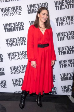 Üzüm bağı tiyatrosu 41. Yıl dönümü 2024 Gala. 26 Şubat 2024, New York, New York, ABD: Sara Bareilles, 26 Şubat 2024 tarihinde The Edison Ballroom 'da Jesse Tyler Ferguson onuruna Vineyard Tiyatrosu' na katılır. 