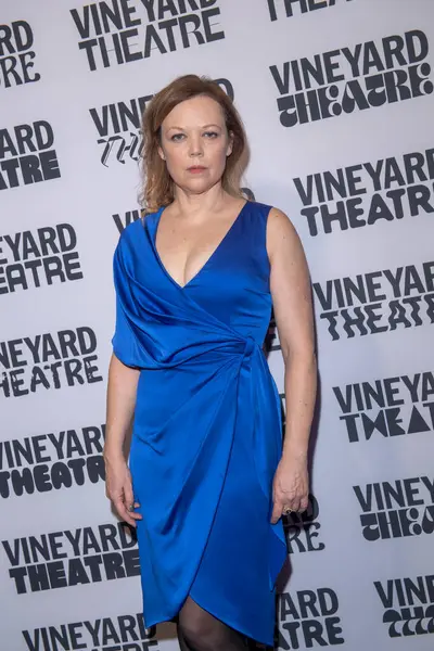 Vineyard Theatre Aniversário 2024 Gala Fevereiro 2024 Nova York Nova — Fotografia de Stock