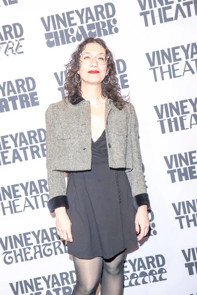 Vineyard Theatre 41Th Anniversary 2024 Gala February 2024 New York — Stock Photo, Image