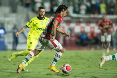 Sao Paulo (SP), Brezilya 02 / 28 / 2024 - PAULISTAO vs PORTUGUESA Caninde, Sao Paulo-SP, bu Çarşamba akşamı, 28 Şubat 2024. 