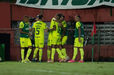 Sao Paulo (SP), Brezilya 02 / 28 / 2024 - PAULISTAO vs PORTUGUESA Caninde, Sao Paulo-SP, bu Çarşamba akşamı, 28 Şubat 2024. 