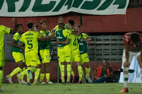 Sao Paulo (SP), Brezilya 02 / 28 / 2024 - PAULISTAO vs PORTUGUESA Caninde, Sao Paulo-SP, bu Çarşamba akşamı, 28 Şubat 2024. 