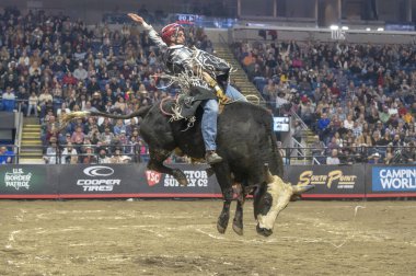2024 Profesyonel Boğa Binicileri Pendleton Whisky Velocity Tour Bridgeport, Connecticut 'ta. 2 Mart 2024, New York, New York, ABD: Profesyonel Boğa Binicileri (PBR) 