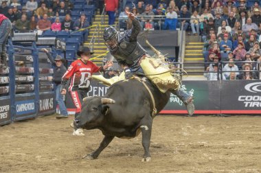 2024 Profesyonel Boğa Binicileri Pendleton Whisky Velocity Tour Bridgeport, Connecticut 'ta. 2 Mart 2024, New York, New York, ABD: Profesyonel Boğa Binicileri (PBR) 