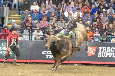 2024 Profesyonel Boğa Binicileri Pendleton Whisky Velocity Tour Bridgeport, Connecticut 'ta. 2 Mart 2024, New York, New York, ABD: Profesyonel Boğa Binicileri (PBR) 