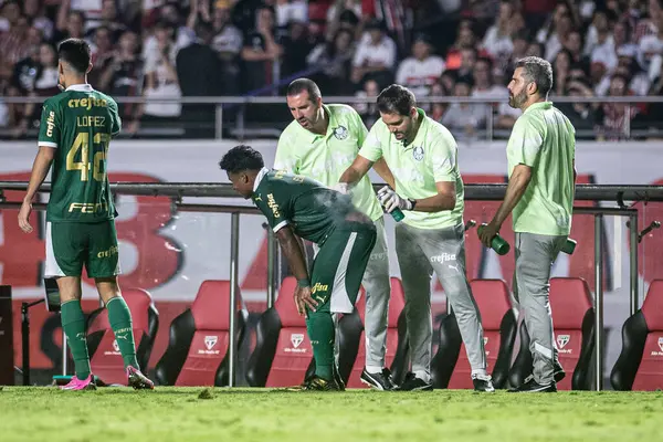 Sao Paulo (SP), Brezilya 03 / 04 / 2024 - PAULISTAO SAO PAULO, Morumbi 'ye karşı, bu Pazar gecesi, 4 Mart 2024.