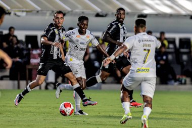 Santos (SP), Brezilya - 03 / 09 / 2024: Bu cumartesi gecesi Santos-SP kentinde düzenlenen 2024 Paulista Futbol Şampiyonası için geçerli olan Palmeiras ile Botafogo arasında oynanan karşılaşmada fırlatın.