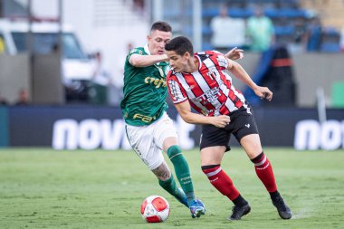 Barueri (SP), Brezilya - 03 / 09 / 2024: Bu cumartesi gecesi Barueri-SP 'deki Arena Barueri' de düzenlenen 2024 Paulista Futbol Şampiyonası 'nın 12. turu için Palmeiras ile Botafogo arasındaki maç geçerli.