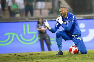 Barueri (SP), Brazil 03/09/2024: Goalkeeper Weverton, during a match between Palmeiras and Botafogo, valid for the 12th round of the 2024 Paulista Football Championship, held at Arena Barueri, in Barueri-SP, in this Saturda clipart