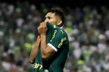 Barueri (SP), BRAZIL - 03 / 09 / 2024: Palmeiras oyuncusu Rony, Palmeiras ve Botafogo arasında oynanan ve Arena Baruer 'de düzenlenen 2024 Paulista Futbol Şampiyonası' nın 12. turu için geçerli olan maçta golünü atıyor ve kutluyor.