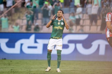 Barueri (SP), Brezilya - 03 / 09 / 2024: Lazaro, 9 Mart 2024 tarihinde Barueri-SP 'de düzenlenen 2024 Paulista Futbol Şampiyonası' nın 12. turunda Palmeiras ve Botafogo arasında oynanan karşılaşmada geçerli oldu.