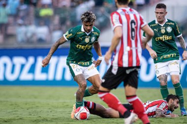 Barueri (SP), Brezilya - 03 / 09 / 2024: Bu cumartesi gecesi Barueri-SP 'deki Arena Barueri' de düzenlenen 2024 Paulista Futbol Şampiyonası 'nın 12. turu için Palmeiras ile Botafogo arasındaki maç geçerli.