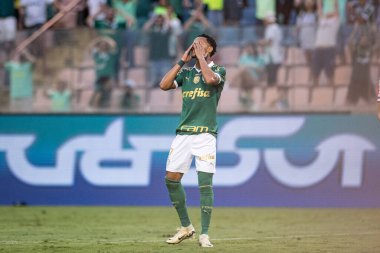 Barueri (SP), Brezilya - 03 / 09 / 2024: Lazaro, 9 Mart 2024 tarihinde Barueri-SP 'de düzenlenen 2024 Paulista Futbol Şampiyonası' nın 12. turunda Palmeiras ve Botafogo arasında oynanan karşılaşmada geçerli oldu.