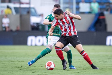 Barueri (SP), Brezilya - 03 / 09 / 2024: Bu cumartesi gecesi Barueri-SP 'deki Arena Barueri' de düzenlenen 2024 Paulista Futbol Şampiyonası 'nın 12. turu için Palmeiras ile Botafogo arasındaki maç geçerli.