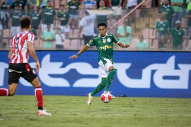 Barueri (SP), Brezilya - 03 / 09 / 2024: Lazaro, 9 Mart 2024 tarihinde Barueri-SP 'de düzenlenen 2024 Paulista Futbol Şampiyonası' nın 12. turunda Palmeiras ve Botafogo arasında oynanan karşılaşmada geçerli oldu.