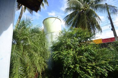 NATAL (RN), 03.07.2024 - Marly Sarney Toplum Merkezi 'nin başkentin batısındaki Nazare Mahallesi' nde faaliyet gösterdiği Natal RN 'de kamu binası, Dang' ın büyük bir yoğunluğuna sahip, nüfus acil eylem çağrısı.