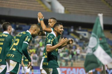 Barueri (SP), BRAZIL - 03 / 09 / 2024: Palmeiras oyuncusu Rony, Palmeiras ve Botafogo arasında oynanan ve Arena Baruer 'de düzenlenen 2024 Paulista Futbol Şampiyonası' nın 12. turu için geçerli olan maçta golünü atıyor ve kutluyor.