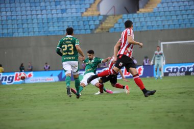 Santos (SP), Brezilya - 03 / 09 / 2024: Bu cumartesi gecesi Santos-SP kentinde düzenlenen 2024 Paulista Futbol Şampiyonası için geçerli olan Palmeiras ile Botafogo arasında oynanan karşılaşmada fırlatın.