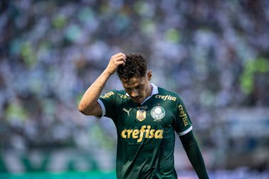 Barueri (SP), Brezilya - 03 / 09 / 2024: Palmeiras ve Botafogo arasında oynanan ve Barueri-SP 'deki Arena Barueri' de düzenlenen 2024 Paulista Futbol Şampiyonası 'nın 12. turu için geçerli olan maçta Raphael Veiga