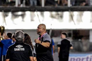 Santos (SP), Brezilya - 03 / 09 / 2024: Bu cumartesi gecesi Santos-SP kentinde düzenlenen 2024 Paulista Futbol Şampiyonası için geçerli olan Palmeiras ile Botafogo arasında oynanan karşılaşmada fırlatın.