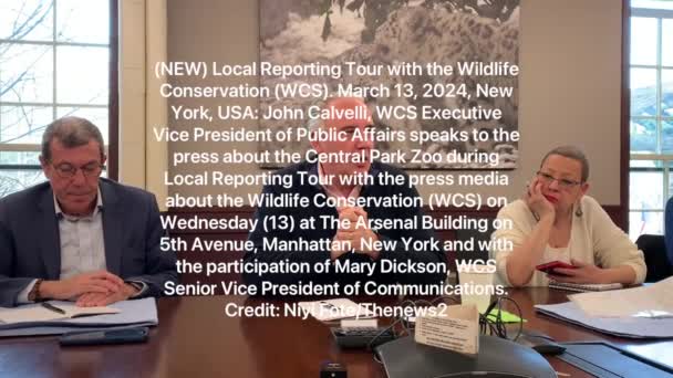 新成立的野生动物保护地方报道团 Wcs 2024年3月13日 美国纽约 世界基督教协进会公共事务执行副总裁约翰 卡尔维利在当地媒体的采访中就中央公园动物园向媒体发表了讲话 — 图库视频影像
