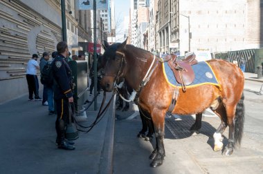New York 'ta Aziz Patrick Günü Geçidi. 16 Mart 2024, New York, New York, ABD: New York Polis Departmanı atlı birim memurları 5. Cadde boyunca uzanan St. Patrick Günü Geçit Töreni 'nin başlamasını bekliyorlar