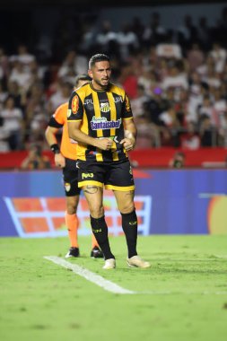 Sao Paulo (SP), Brezilya 03 / 17 / 2024 - PAULISTAO SAO PAULO 'ya karşı Bu Pazar, 17 Mart 2024.