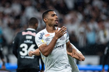 Sao Paulo (SP), Brezilya 03 / 27 / 2024 - PAULISTAO SANTOS Paulo-SP, 27 Mart 2024 Çarşamba akşamı. 