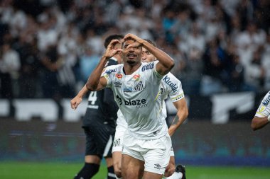 Sao Paulo (SP), Brezilya 03 / 27 / 2024 - PAULISTAO SANTOS Paulo-SP, 27 Mart 2024 Çarşamba akşamı. 