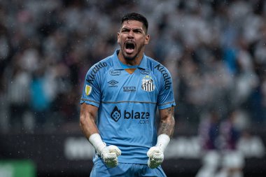 Sao Paulo (SP), Brezilya 03 / 27 / 2024 - PAULISTAO SANTOS Paulo-SP, 27 Mart 2024 Çarşamba akşamı. 