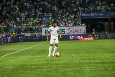 Sao Paulo (SP), Brezilya 03 / 28 / 2024 - PAULISTAO vs PALMEIRAS Sao Paulo 'nun batısındaki Allianz Parque' da, 28 Mart 2024 Perşembe gecesi. Palmeiras 1-0 kazandı..