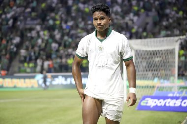 Sao Paulo (SP), Brezilya 03 / 28 / 2024 - PAULISTAO vs PALMEIRAS Sao Paulo 'nun batısındaki Allianz Parque' da, 28 Mart 2024 Perşembe gecesi. Palmeiras 1-0 kazandı..