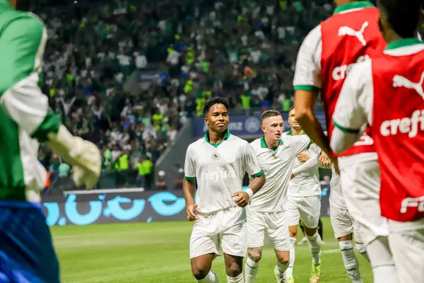 Stock image Sao Paulo (SP), Brazil 03/28/2024 - PAULISTAO vs PALMEIRAS at Allianz Parque, in the west of Sao Paulo, on Thursday night, March 28, 2024. Palmeiras wins 1-0.