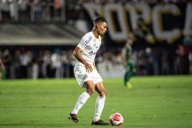 Santos (SP), Brezilya 03 / 31 / 2024 - PAULISTAO vs SANTOS, Santos, bu Pazar gecesi, 31 Mart 2024.