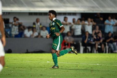 Santos (SP), Brezilya 03 / 31 / 2024 - PAULISTAO vs SANTOS, Santos, bu Pazar gecesi, 31 Mart 2024.