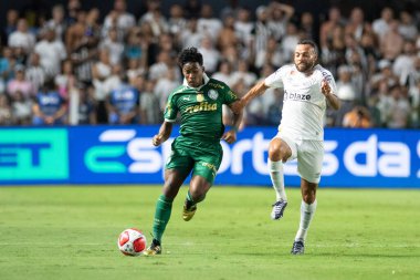 Santos (SP), Brezilya 03 / 31 / 2024 - PAULISTAO vs SANTOS, Santos, bu Pazar gecesi, 31 Mart 2024.