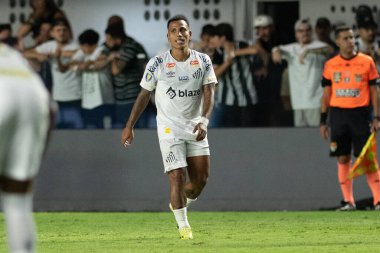Santos (SP), Brezilya 03 / 31 / 2024 - PAULISTAO vs SANTOS, Santos, bu Pazar gecesi, 31 Mart 2024.