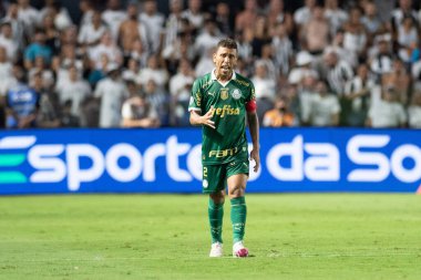 Santos (SP), Brezilya 03 / 31 / 2024 - PAULISTAO vs SANTOS, Santos, bu Pazar gecesi, 31 Mart 2024.